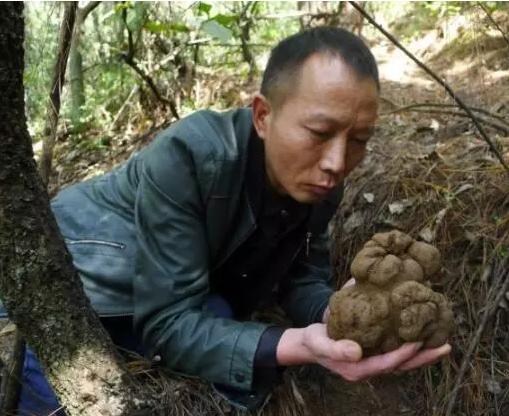 圖片關鍵詞